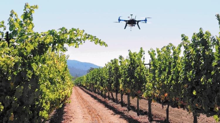 Drones
